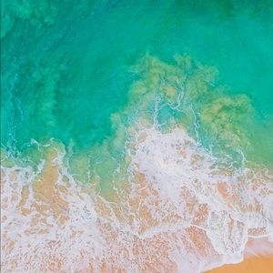 Meet your Posher, Opy